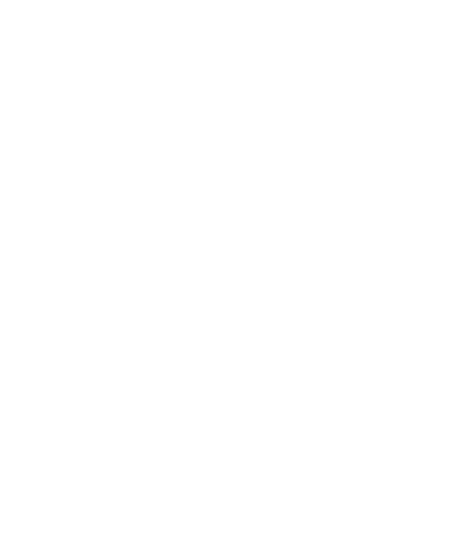 Ins&eacute;rer un text alternatif